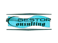 Gestor Consulting LLP